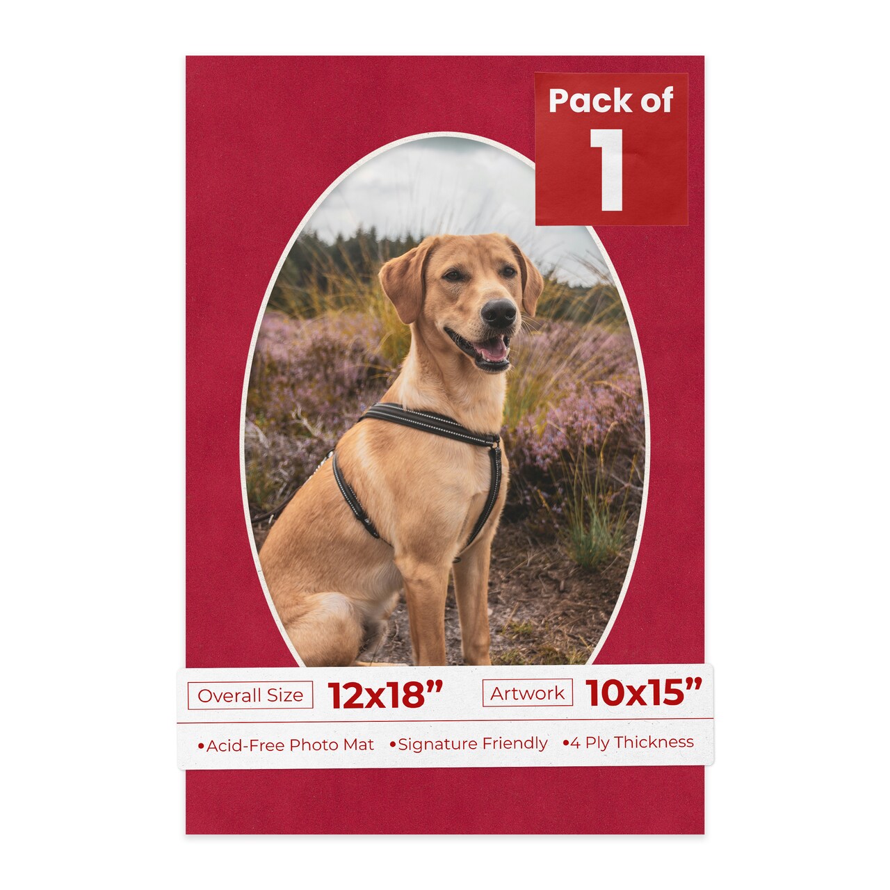 Red Suede Mat Board for 12x18 Frames - Oval Opening for 10x15 Photos